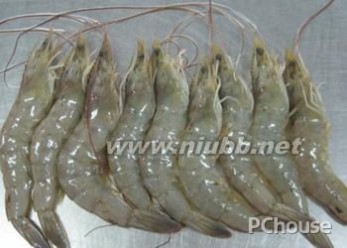 虾的做法 【白虾】白虾的做法，白虾的营养价值，脊尾白虾，白虾的介绍