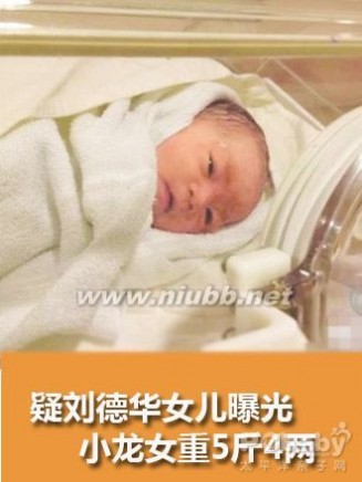 刘德华生女儿 刘德华生女儿 2万可做试管婴儿