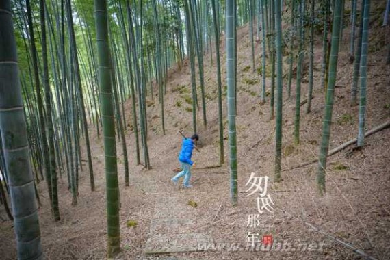 永安龟山公园 《匆匆那年》不悔梦归处，只恨太匆匆：永安之旅