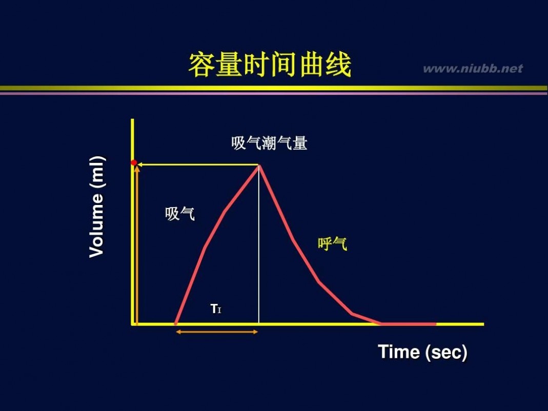 杜斌 杜斌_机械通气