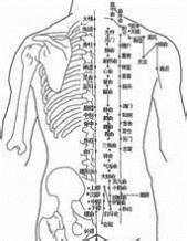 督脉：督脉-督脉，督脉-循行分布_督脉的作用