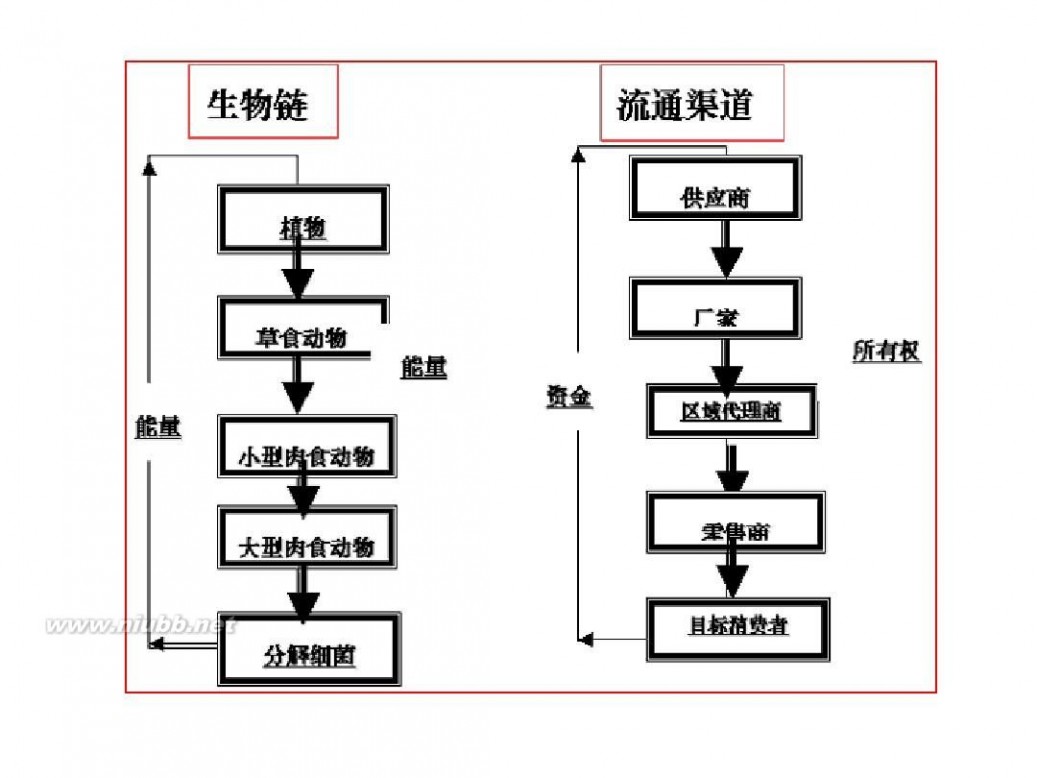 大自然的启示ppt 12.大自然的启示(完美版)