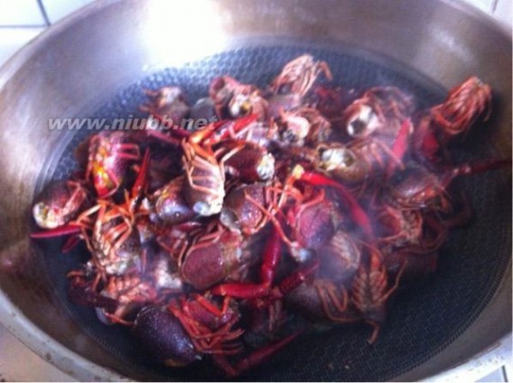 龙虾盖浇饭 小龙虾盖浇饭的做法，小龙虾盖浇饭怎么做好吃，小龙虾盖浇饭的家常做法