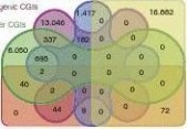 李明洲 四川农业大学李明洲nature文章