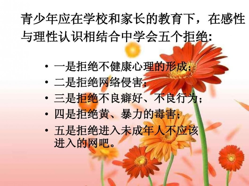 远离网吧健康成长 《远离网吧,健康成长》主题班会