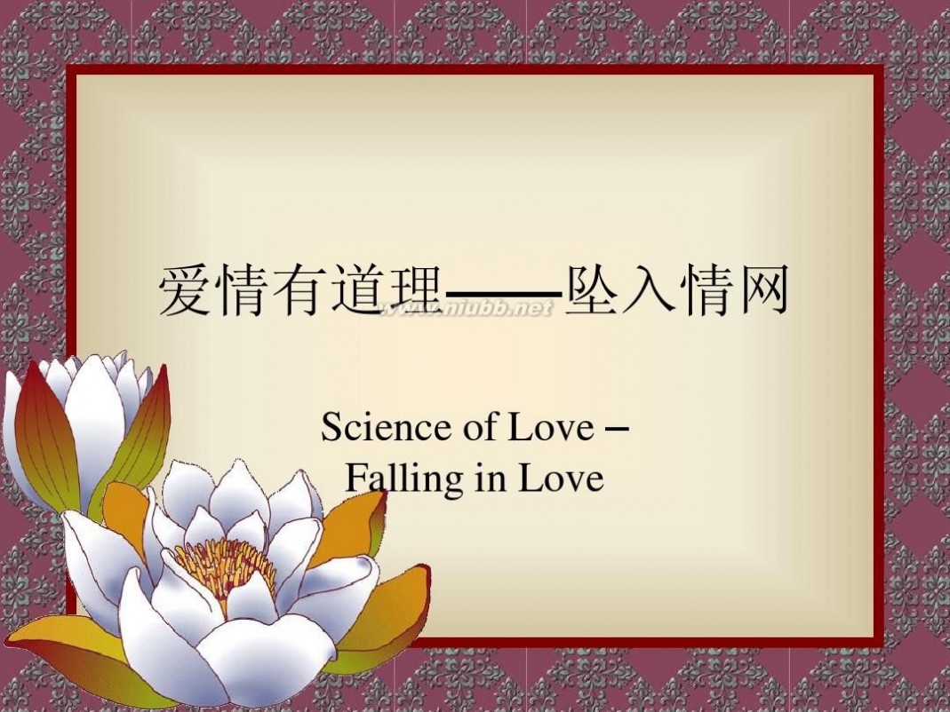爱里的心 7用心理学说“爱”——爱情中的心理学2