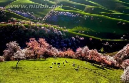 五一旅游去哪里好_五一去哪里旅游好