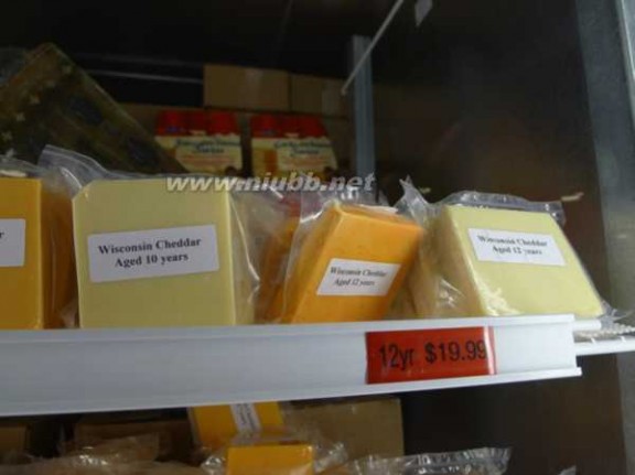 陈年干酪 好吃的奶酪是怎么做出来哒？参观美国奶酪工坊