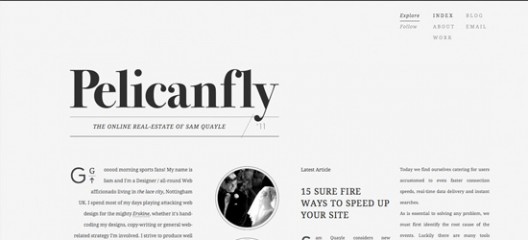 Pelican Fly blog design