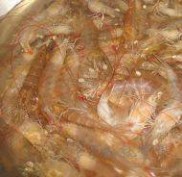 水煮虾的做法 水煮虾怎么做好吃_水煮虾最正宗的做法