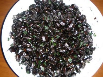 九香虫的功效与作用 九香虫的功效与作用 九香虫的食用方法