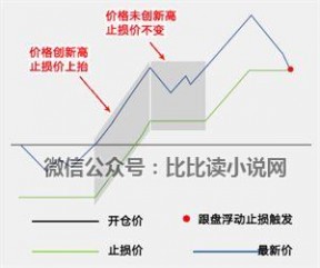 止损单 文华软件止损单