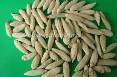 麦冬的副作用 麦冬的功效与作用麦冬的药用价值