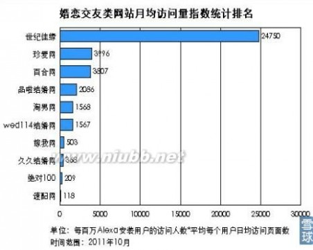 最终战略 世纪佳缘最终战略管理分析