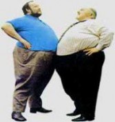 单纯性肥胖：单纯性肥胖-病因，单纯性肥胖-发病机理_单纯性肥胖