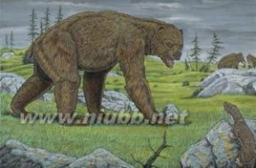 北美巨型短面熊：北美巨型短面熊-简介，北美巨型短面熊-短面熊特点_巨型短面熊
