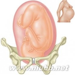 胎儿入盆，胎儿入盆的时间，胎儿入盆是什么感觉_胎儿入盆时间