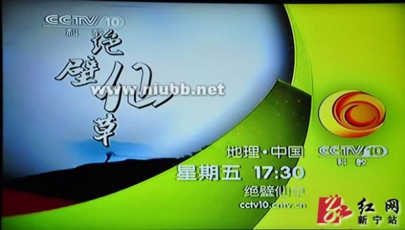 央视科教频道CCTV-10《地理中国》播出《绝壁仙草》推介崀山，寻找传说中的还魂草