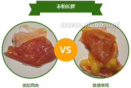 【美食分享】九味贵妃鸡是哪个地方的菜？-南京中顺君生态农业有限公司