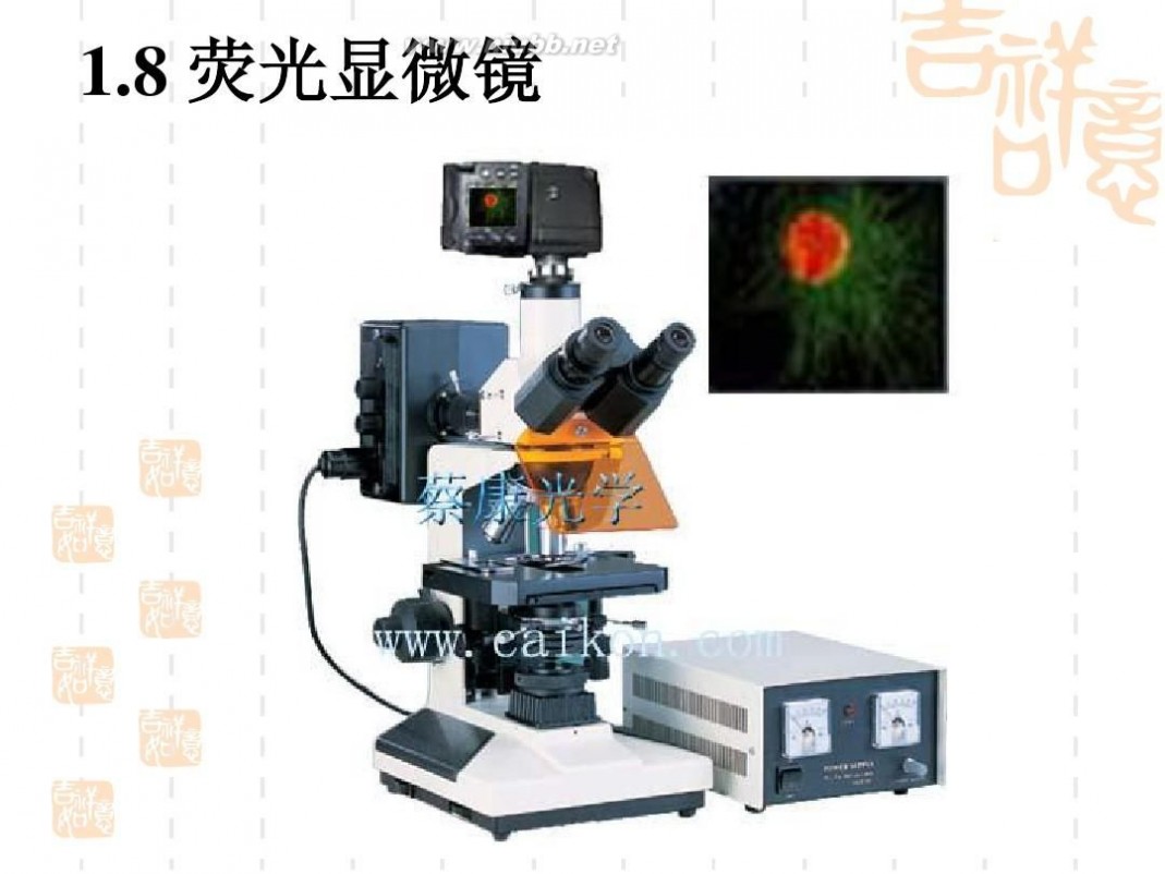 光学显微镜 光学显微镜