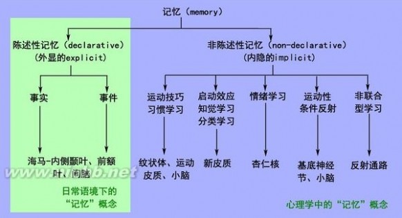 无意识记忆 为什么带着情绪的记忆总是挥之不去