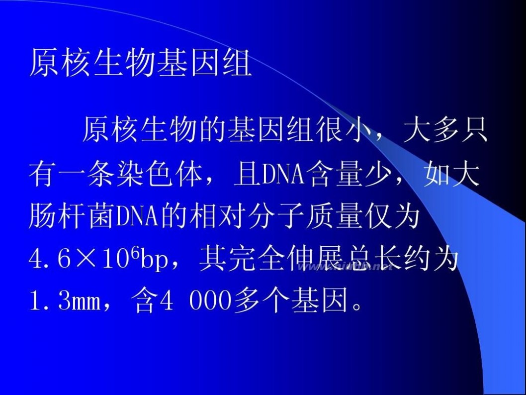 分子生物学课件 现代分子生物学课件-第二章