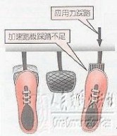 本本族 针对本本族等新手驾车的操作指南经典资料