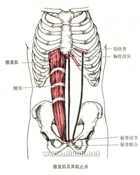 腹肌撕裂者好不好