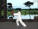太极拳视频教程 中国太极拳视频教程大全226集