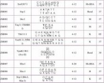 限制性内切酶 限制性内切酶一览表