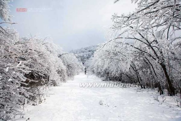 龙王山 龙王山：艰难跋涉只为那震撼雪景