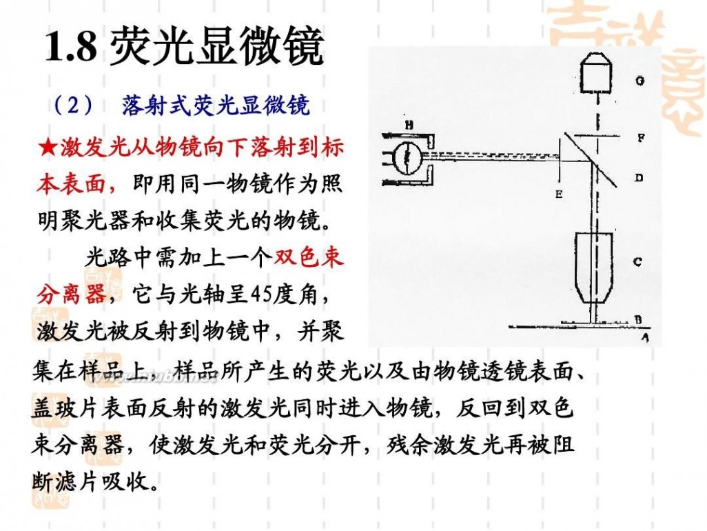 光学显微镜 光学显微镜