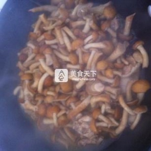 滑子蘑 小鸡炖滑子蘑的家常做法