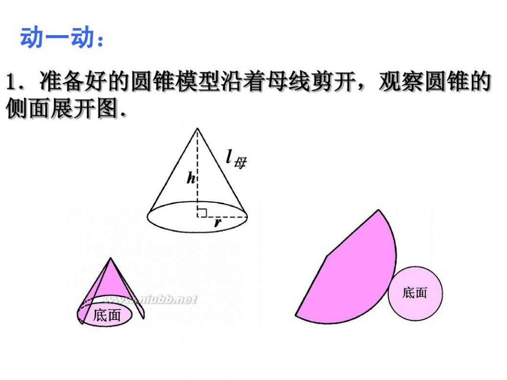 圆锥展开图 圆锥的侧面展开图讲