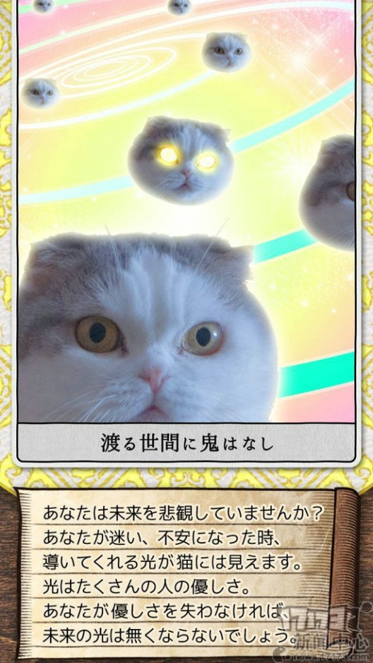 来自猫神的指示 你怕不怕 日本面白手游札记第51回