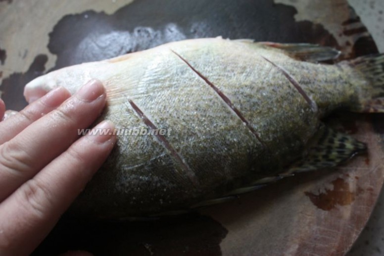 清蒸桂鱼做法 清蒸桂鱼的做法，清蒸桂鱼怎么做好吃，清蒸桂鱼的家常做法