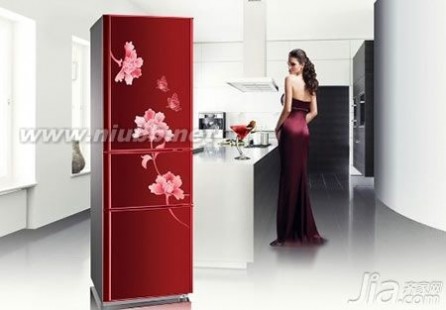海尔冰箱报价 海尔冰箱质量怎么样 海尔冰箱价格