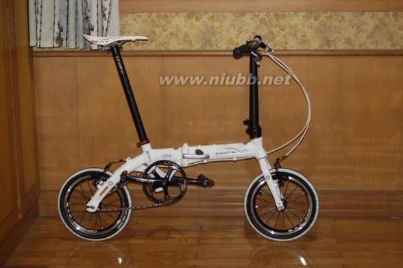 折叠自行车 折叠自行车挑选指南（多图）