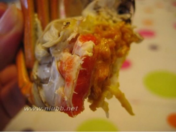 死蟹能吃吗 【螃蟹死了还能吃吗】死螃蟹还能吃吗