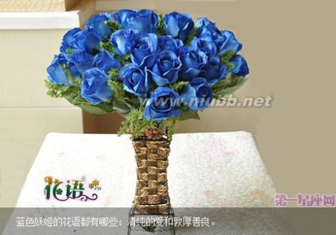 蓝玫瑰的含义 蓝玫瑰、蓝色妖姬的花语及含义解析