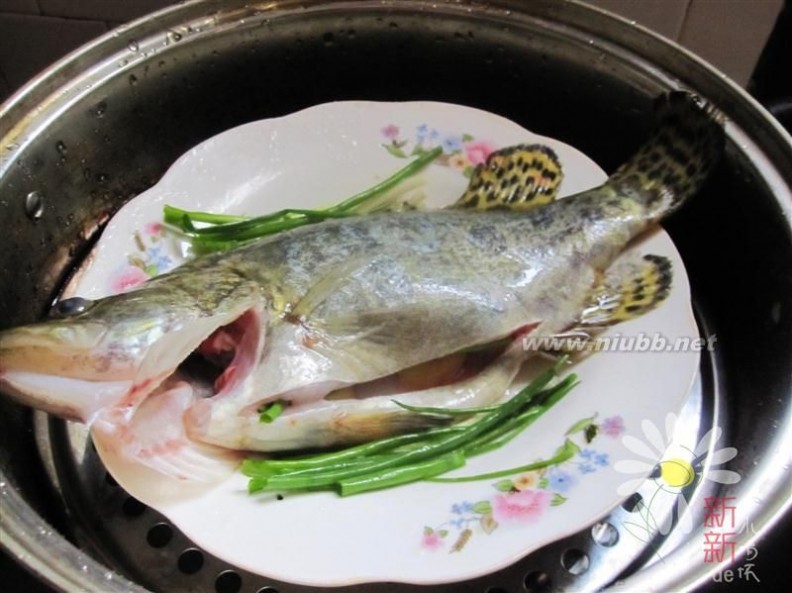 清蒸鳜鱼 清蒸鳜鱼的做法，清蒸鳜鱼怎么做好吃，清蒸鳜鱼的家常做法