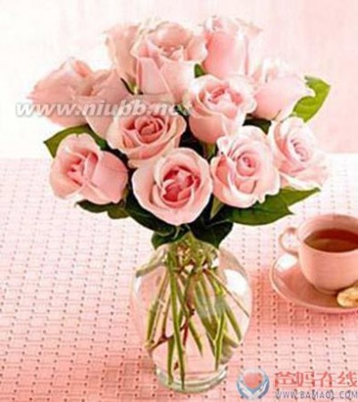 11朵粉红色玫瑰的花语_11朵粉色玫瑰花语