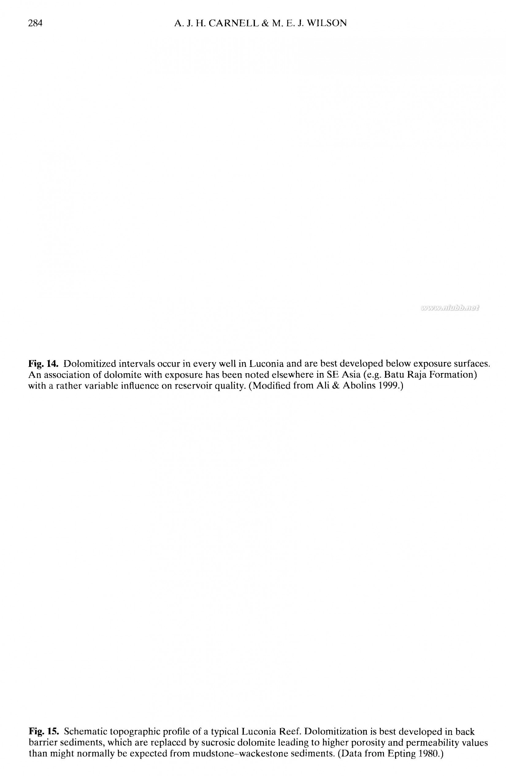 dolomite The geometry and petrogenesis of dolomite hydrocarbon reservoirs-3