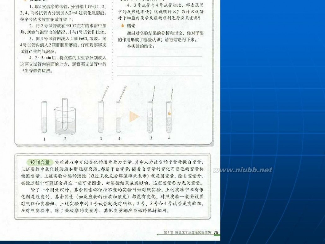 生物学科 生物的学科思想