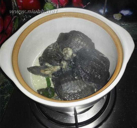 野生甲鱼 野生甲鱼汤的做法，野生甲鱼汤怎么做好吃，野生甲鱼汤的家常做法