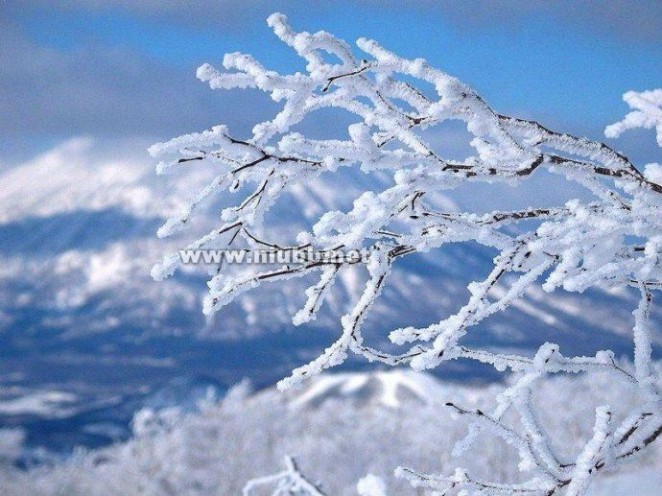 咏雪诗词 咏雪诗词集锦