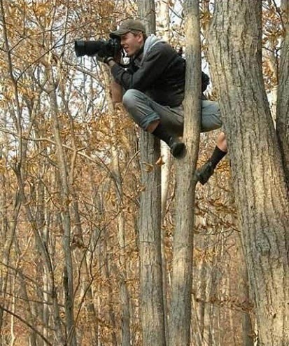 摄影社的爬树水平见长啊