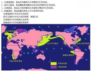 世界四大渔场 世界四大渔场位置及世界洋流图