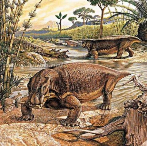 第五次生物大灭绝 细数地球历史上的五次(生物)物种大灭绝