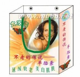 礼品袋设计 CORELDRAW礼品袋包装设计